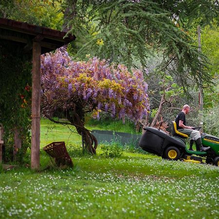 Tuscany Time Montefoscoli ภายนอก รูปภาพ