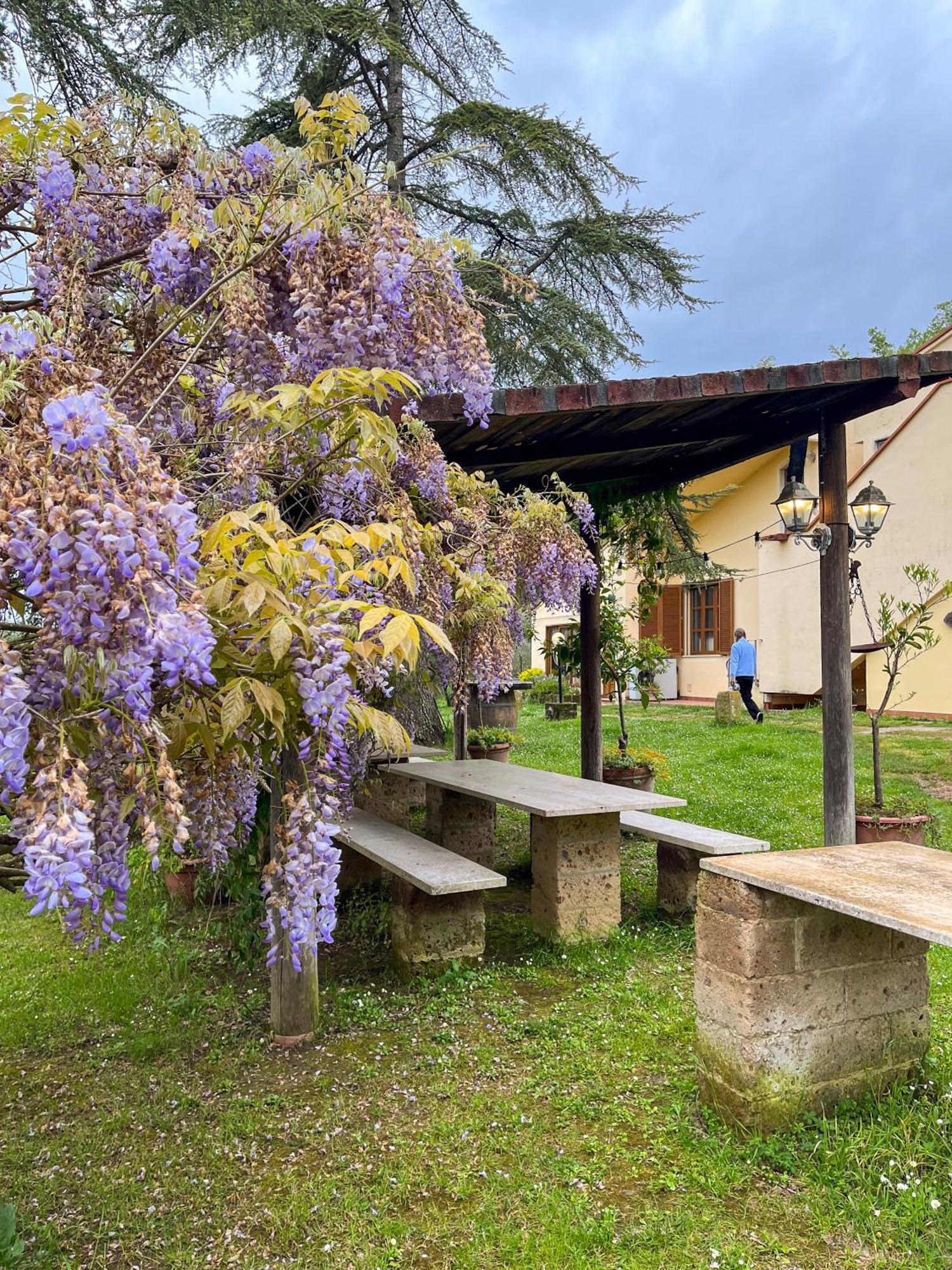 Tuscany Time Montefoscoli ภายนอก รูปภาพ